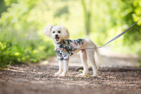 Pineapple Floral Button Up - TimDog Fashions