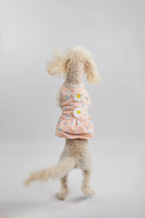 Peach Daisy Dress - TimDog Fashions