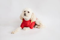 Red Teddy Bear Backpack Sweater - TimDog Fashions