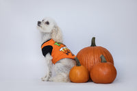 Trick For Treats T-Shirt - TimDog Fashions