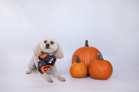 Spooky Bandanas - TimDog Fashions