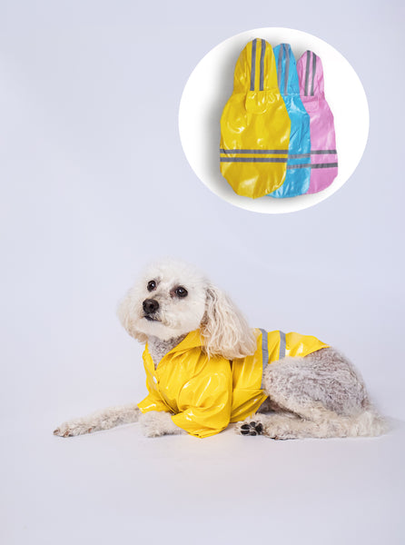 Waterproof Raincoat (3 colors) - TimDog Fashions
