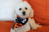 Halloween Bandanas - TimDog Fashions