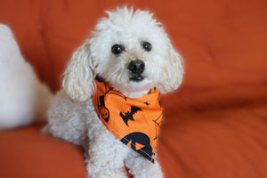 Halloween Bandanas - TimDog Fashions