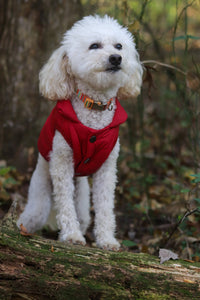 Windproof Winter Vest - TimDog Fashions